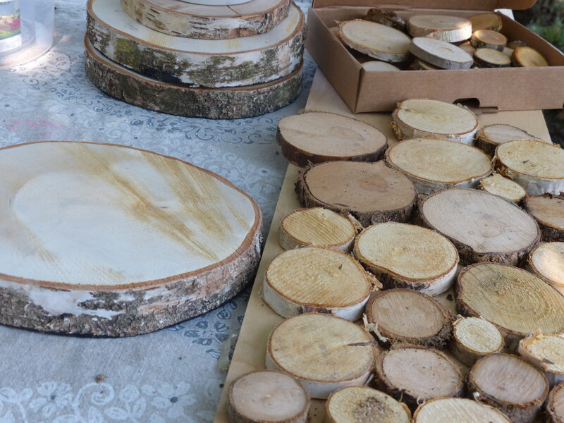 Unpolished wooden discs (2-7cm)